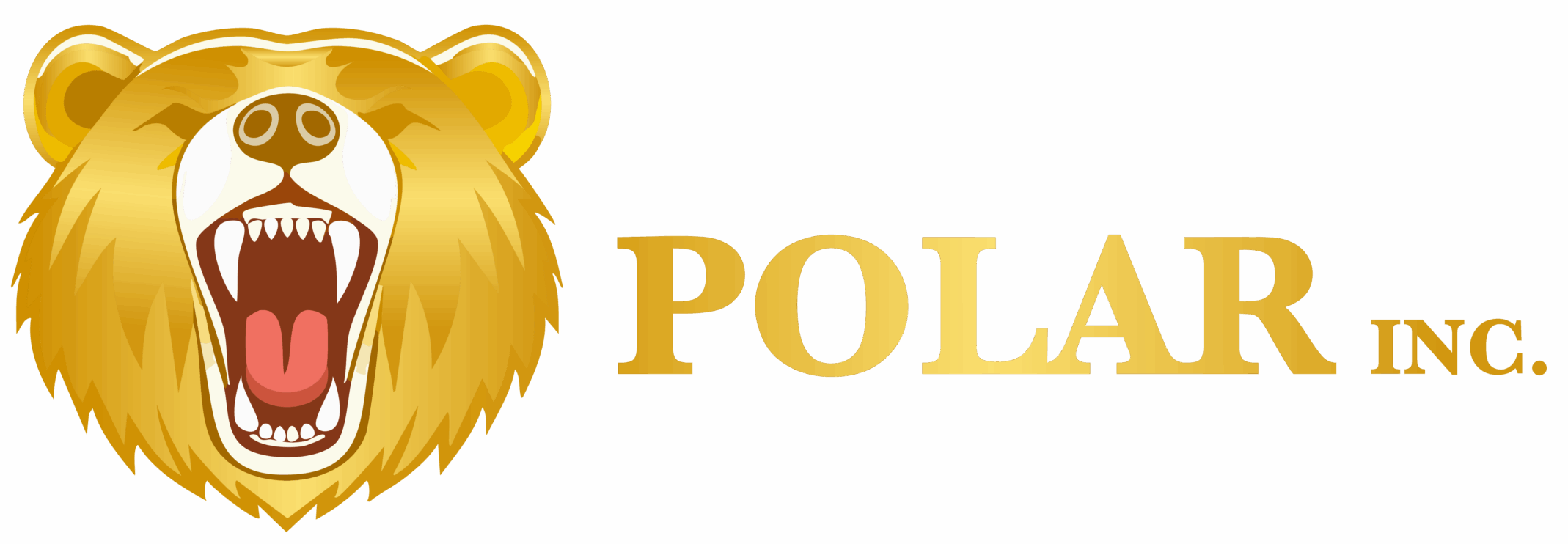 Polar Inc