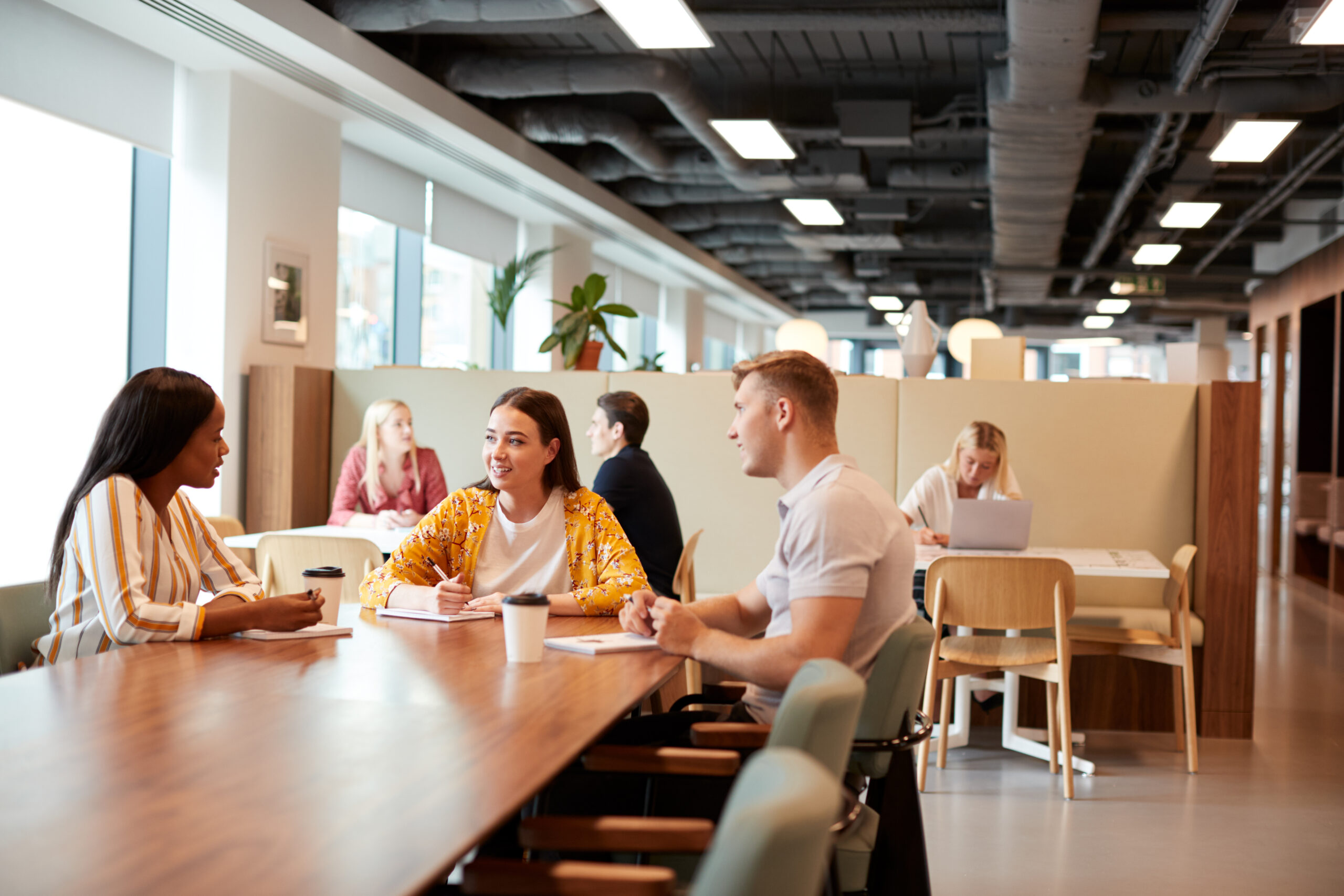 young professionals with entry level jobs